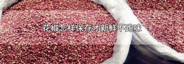 花椒怎样保存才新鲜不跑味
