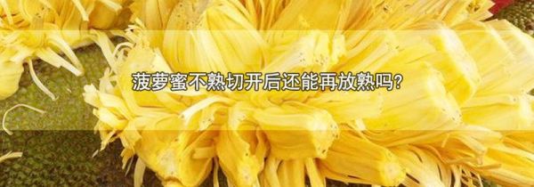 菠萝蜜不熟切开后还能再放熟吗?
