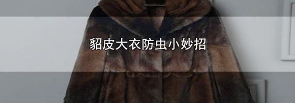 貂皮大衣防虫小妙招