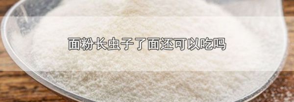 面粉长虫子了面还可以吃吗