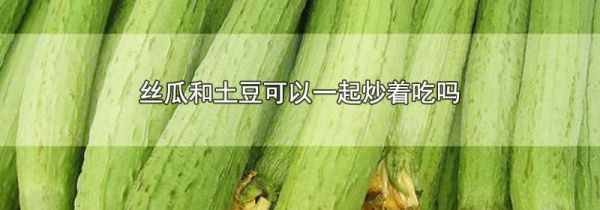丝瓜和土豆可以一起炒着吃吗