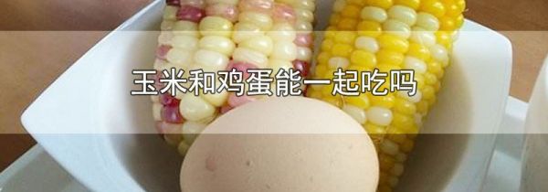 玉米和鸡蛋能一起吃吗