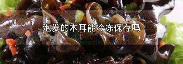 泡发的木耳能冷冻保存吗