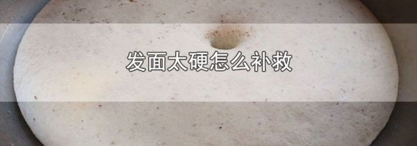 发面太硬怎么补救