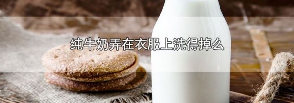 纯牛奶弄在衣服上洗得掉么