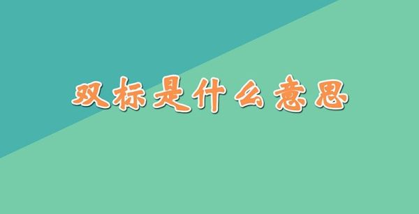 双标是什么意思