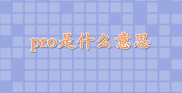 pro是什么意思中文