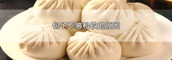 包子不够松软的原因
