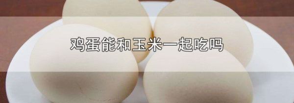 鸡蛋能和玉米一起吃吗