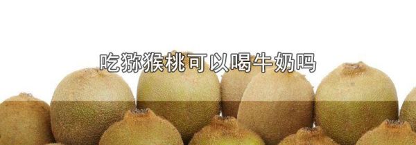 吃猕猴桃可以喝牛奶吗