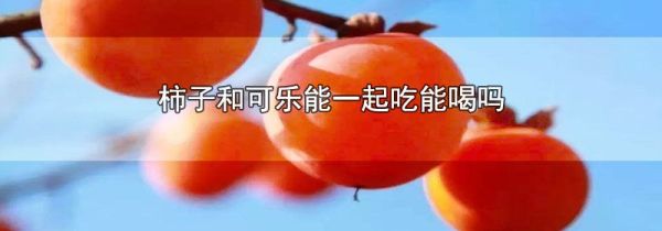 柿子和可乐能一起吃能喝吗