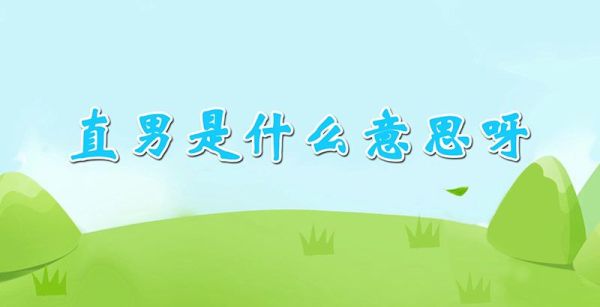 直男是什么意思呀