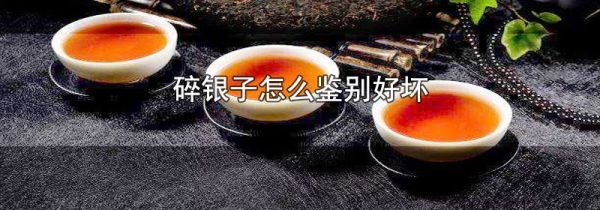 碎银子怎么鉴别好坏