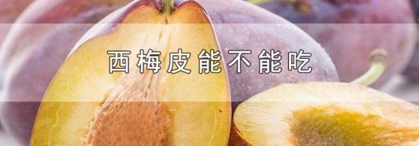 西梅皮能不能吃