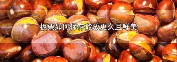 板栗如何保存能放更久且鲜美