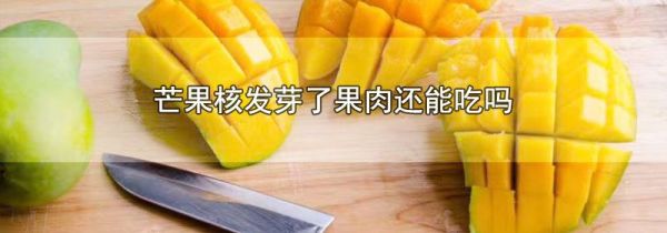 芒果核发芽了果肉还能吃吗