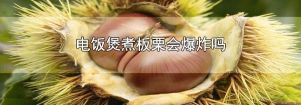 电饭煲煮板栗会爆炸吗