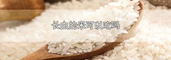 长虫的米可以吃吗