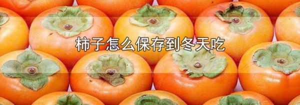 柿子怎么保存到冬天吃