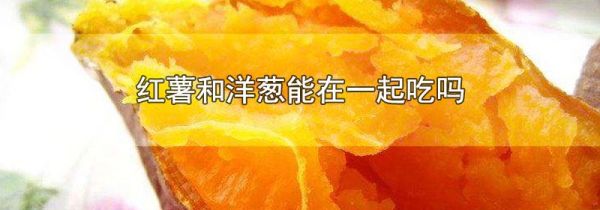 红薯和洋葱能在一起吃吗