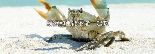 螃蟹和鱼能不能一起吃