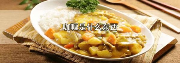 咖喱是什么东西