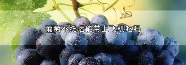 葡萄不托运能带上飞机吃吗