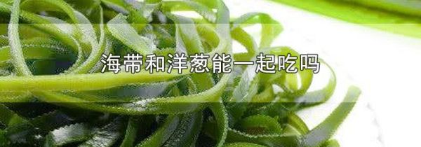 海带和洋葱能一起吃吗