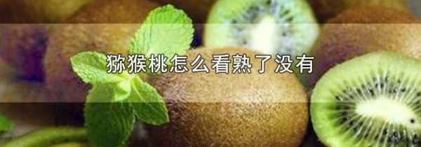 猕猴桃怎么看熟了没有