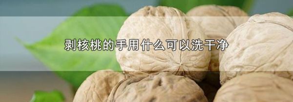 剥核桃的手用什么可以洗干净