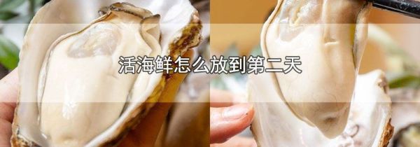 活海鲜怎么放到第二天