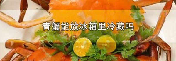 青蟹能放冰箱里冷藏吗