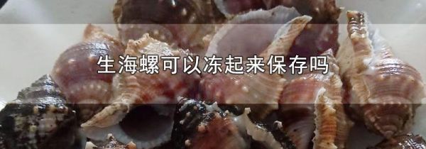 生海螺可以冻起来保存吗