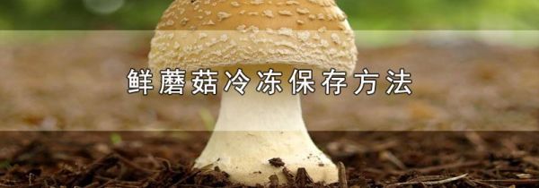 鲜蘑菇冷冻保存方法