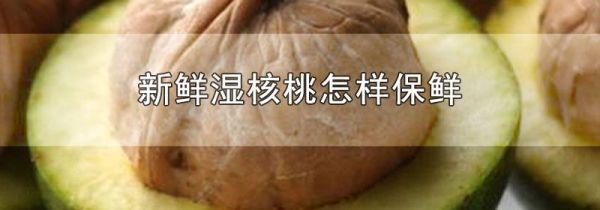 新鲜湿核桃怎样保鲜