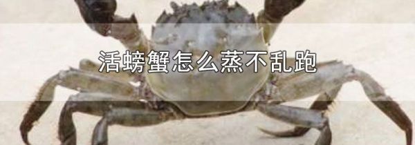活螃蟹怎么蒸不乱跑