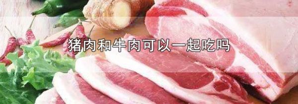 猪肉和牛肉可以一起吃吗