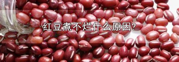 红豆煮不烂什么原因
