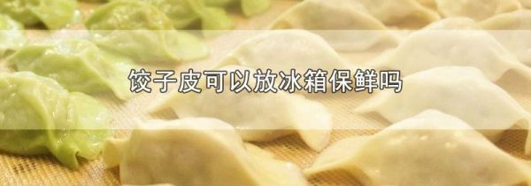 饺子皮可以放冰箱保鲜吗