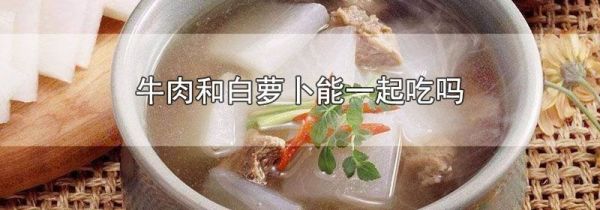 牛肉和白萝卜能一起吃吗