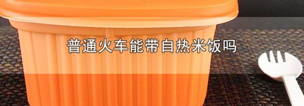 普通火车能带自热米饭吗