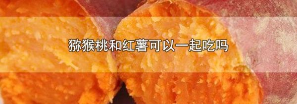 猕猴桃和红薯可以一起吃吗