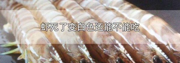 虾死了变白色还能不能吃