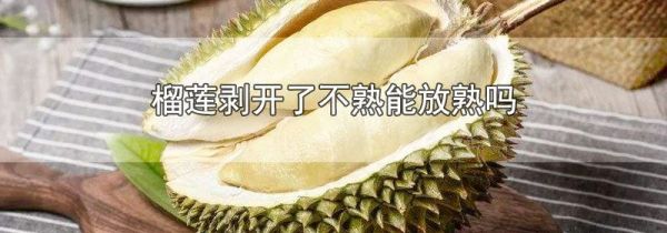 榴莲剥开了不熟能放熟吗