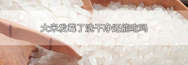 大米发霉了洗干净还能吃吗