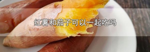 红薯和茄子可以一起吃吗