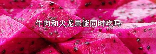 牛肉和火龙果能同时吃吗