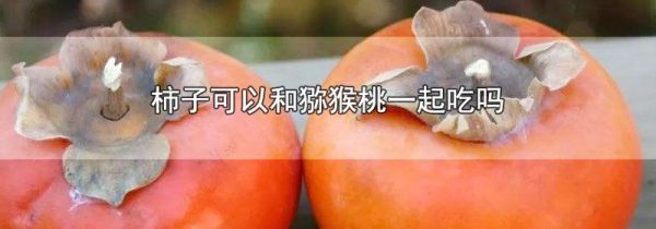 柿子可以和猕猴桃一起吃吗