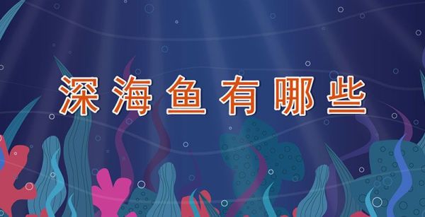 深海鱼有哪些