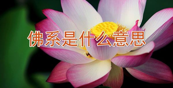 佛系是什么意思